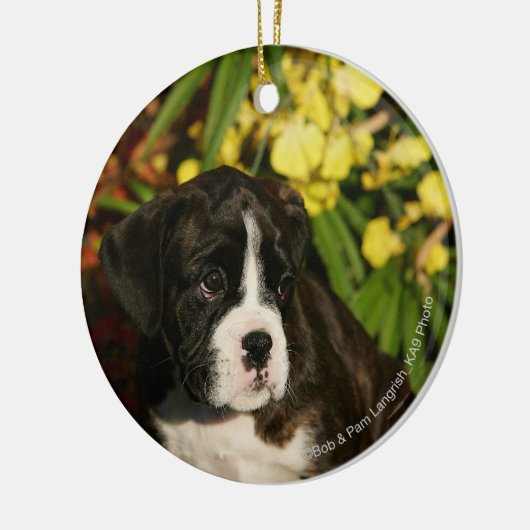 Puppies Keramisch Ornament (Links)