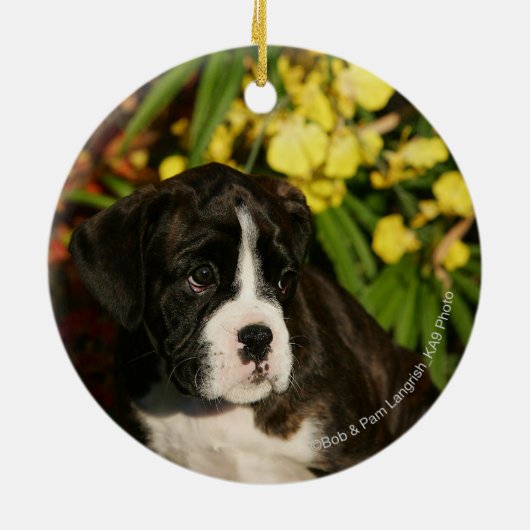 Puppies Keramisch Ornament (Achterkant)