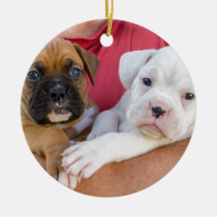 Puppies Keramisch Ornament
