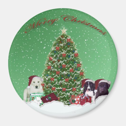 Puppies kerstdag Magnet (Voorkant)