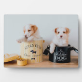 Puppies Kunstschildkliek Fotoplaat (voorkant)