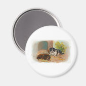 Puppies Magneet (Voorkant / Achterkant)