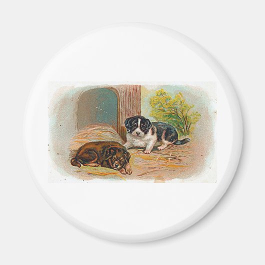 Puppies Magneet (Voorkant)