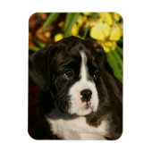 Puppies Magneet (Verticaal)