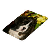 Puppies Magneet (Linkerzijde)