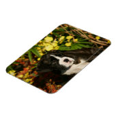 Puppies Magneet (Linkerzijde)