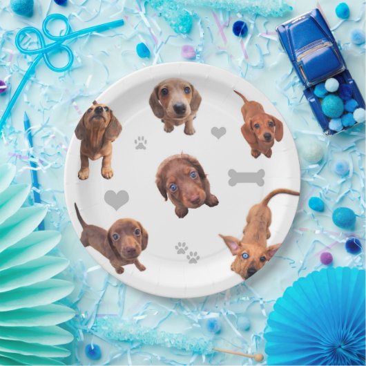 Puppies met de rode chocolade dachshund-appel papieren bordje (Feest)