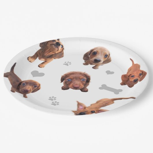 Puppies met de rode chocolade dachshund-appel papieren bordje (Gekanteld)