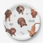 Puppies met de rode chocolade dachshund-appel papieren bordje (Voorkant)
