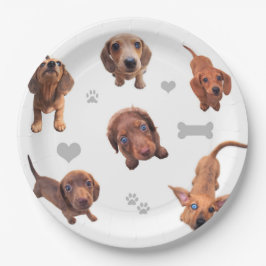 Puppies met de rode chocolade dachshund-appel papieren bordje