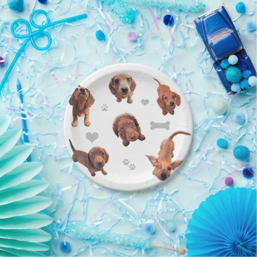 Puppies met de rode chocolade dachshund-appel papieren bordje (Feest)