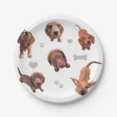 Puppies met de rode chocolade dachshund-appel papieren bordje (Voorkant)