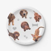 Puppies met de rode chocolade dachshund-appel