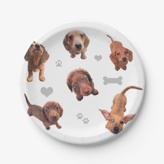 Puppies met de rode chocolade dachshund-appel papieren bordje (Voorkant)