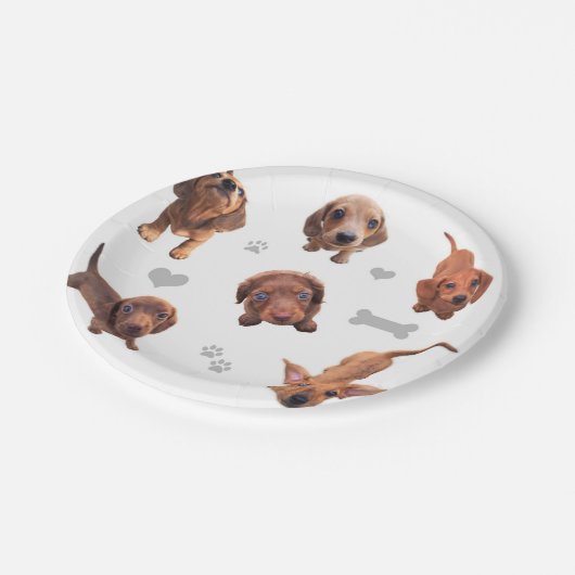 Puppies met de rode chocolade dachshund-appel papieren bordje (Gekanteld)