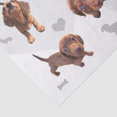 Puppies met de rode chocolade dachshund-appel tissuepapier (Detail)