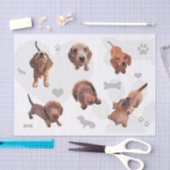 Puppies met de rode chocolade dachshund-appel tissuepapier (Craft)