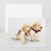 Puppies met gulden feestdagenkaart (Voorkant / Achterkant)