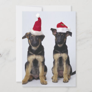 Puppies met kerstmutsen feestdagenkaart