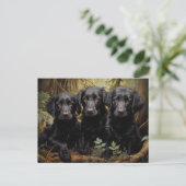 Puppies met platte coating briefkaart (Staand voorkant)