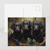 Puppies met platte coating briefkaart (Voorkant / Achterkant)