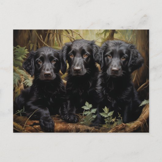 Puppies met platte coating briefkaart (Voorkant)