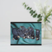 puppies met rottweiler briefkaart (Staand voorkant)