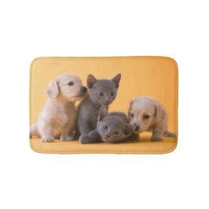 Puppies met Russische blauwe kittens en dachshund Badmat