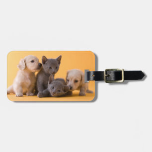 Puppies met Russische blauwe kittens en dachshund Bagagelabel
