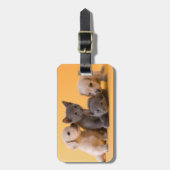 Puppies met Russische blauwe kittens en dachshund Bagagelabel (Voorkant verticaal)