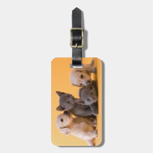 Puppies met Russische blauwe kittens en dachshund Bagagelabel (Voorkant verticaal)