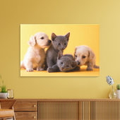 Puppies met Russische blauwe kittens en dachshund Canvas Afdruk (Insitu (Woonkamer))
