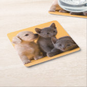 Puppies met Russische blauwe kittens en dachshund Kartonnen Onderzetters (Schuin)