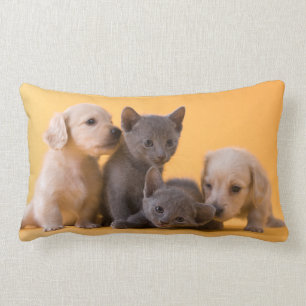Puppies met Russische blauwe kittens en dachshund Kussen