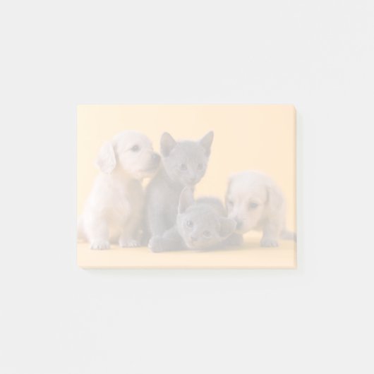 Puppies met Russische blauwe kittens en dachshund Post-it® Notes (Voorkant)