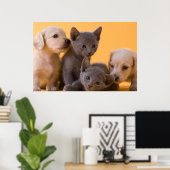 Puppies met Russische blauwe kittens en dachshund Poster (Thuiskantoor)
