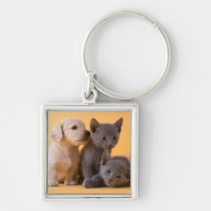 Puppies met Russische blauwe kittens en dachshund Sleutelhanger