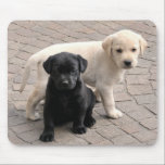 puppies mousepad muismat<br><div class="desc">labrador puppies</div>
