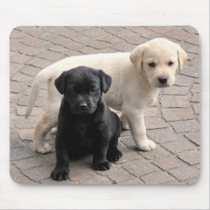 puppies mousepad muismat