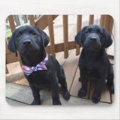 Puppies Mousepad Muismat (Voorkant)