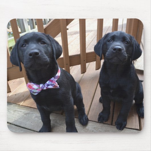 Puppies Mousepad Muismat (Voorkant)