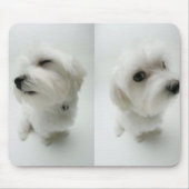 puppies muismat (Voorkant)