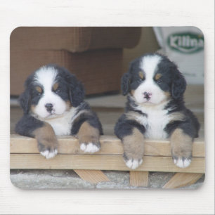 Puppies muizenmat van Bernese Mountain Muismat