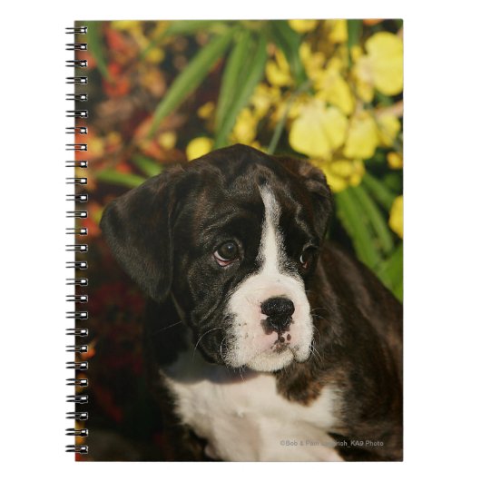 Puppies Notitieboek (Voorkant)