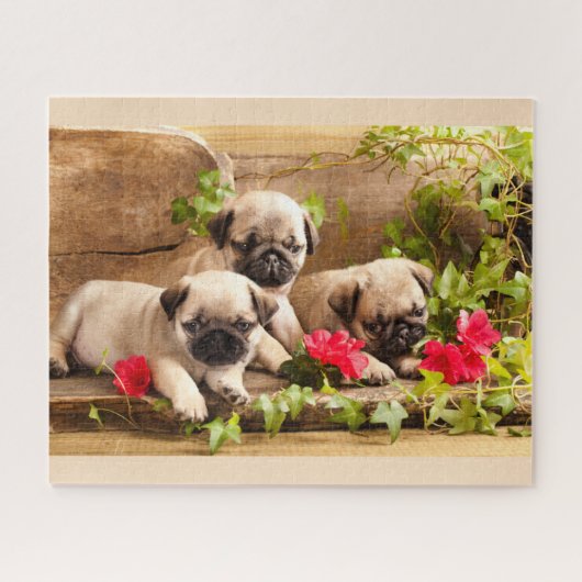 Puppies onder bloemen puzzel (Horizontaal)