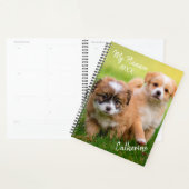 Puppies Planner (Display)