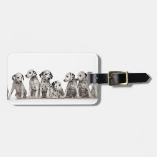 puppies puppies honden honden met een schattige da bagagelabel
