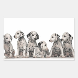puppies puppies honden honden met een schattige da rechthoekige sticker