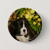 Puppies Ronde Button 5,7 Cm (Voorkant)