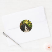 Puppies Ronde Sticker (Envelop)